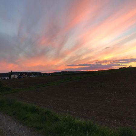 Ferienwohnung Am Weiltalradweg Weinbach 外观 照片