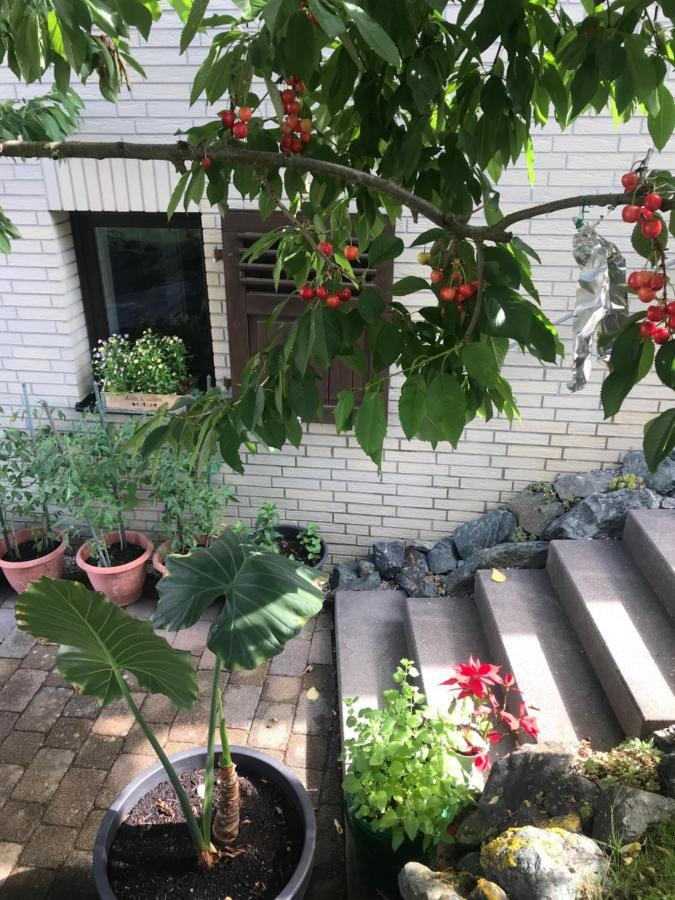 Ferienwohnung Am Weiltalradweg Weinbach 外观 照片