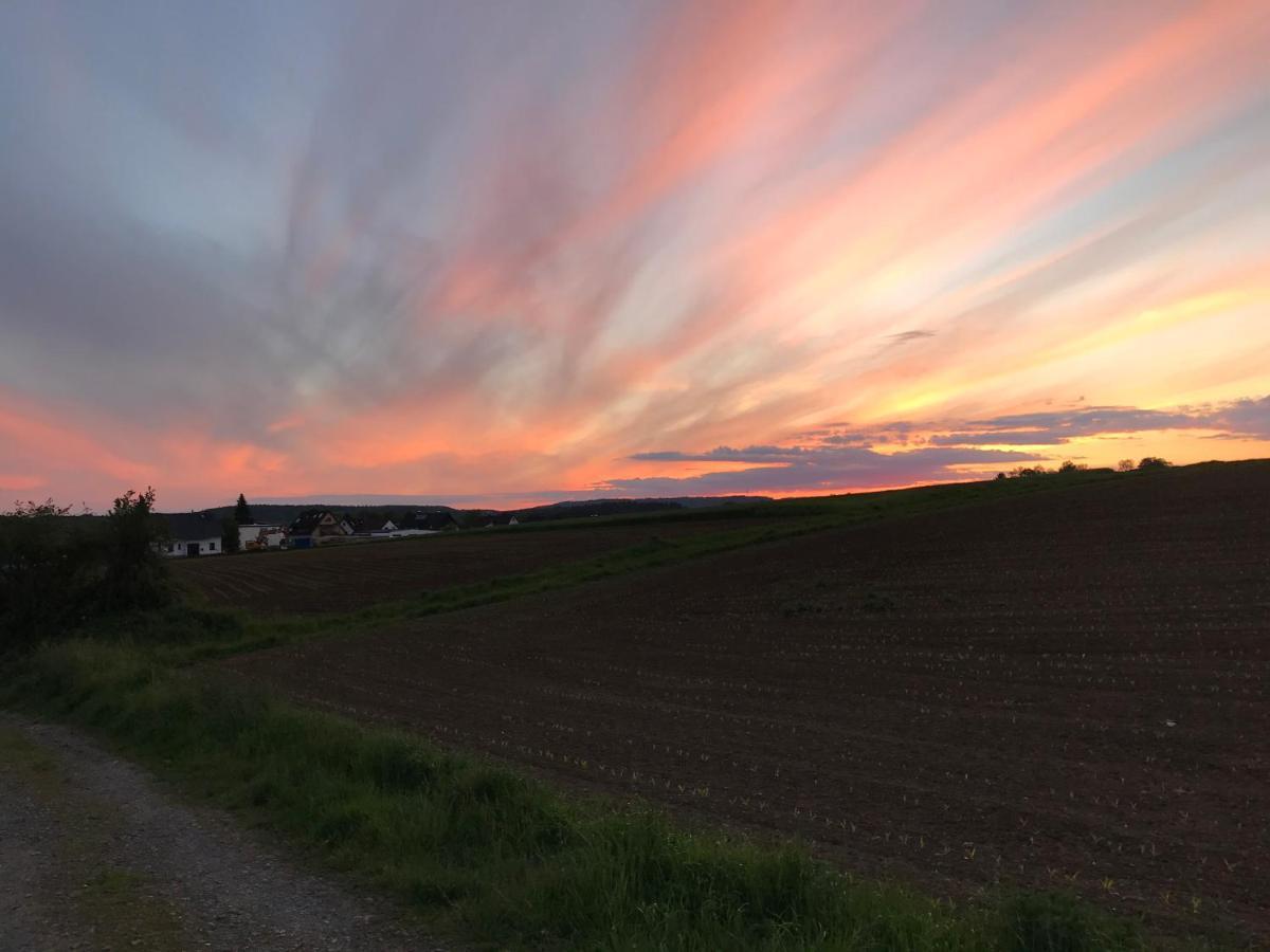 Ferienwohnung Am Weiltalradweg Weinbach 外观 照片