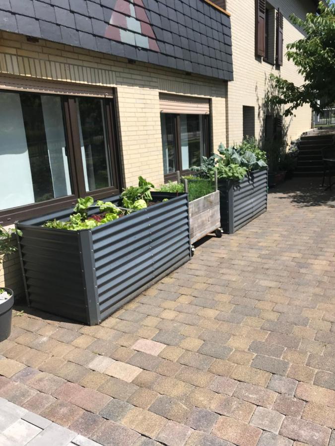 Ferienwohnung Am Weiltalradweg Weinbach 外观 照片